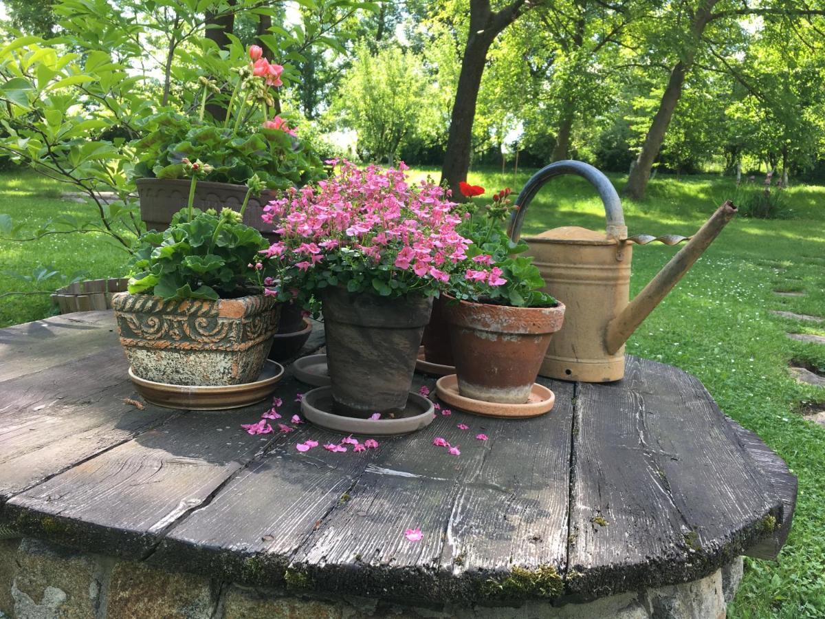 Sady Blotnica Dom Goscinny Prusy  エクステリア 写真
